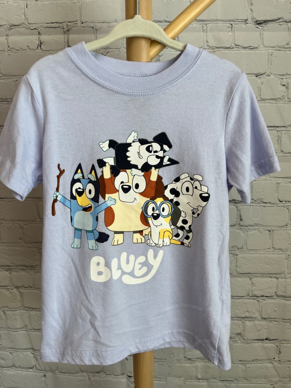 ⭐️⭐️ PICK 5 / $20 Bluey Toddler Girl Graphic Tee